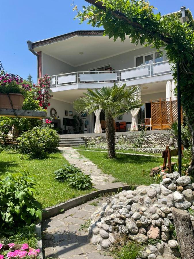 Neli & Zaal Guest House Telavi Exteriér fotografie