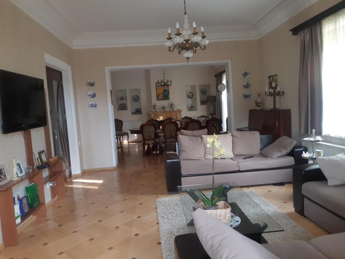 Neli & Zaal Guest House Telavi Exteriér fotografie