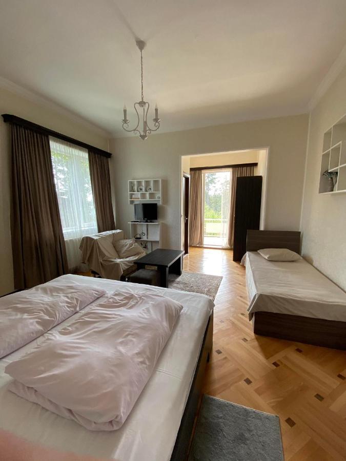 Neli & Zaal Guest House Telavi Exteriér fotografie