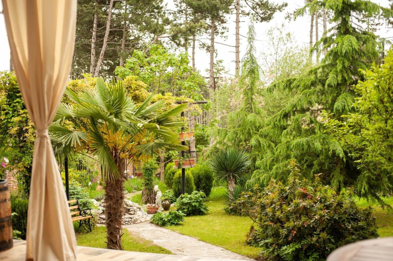 Neli & Zaal Guest House Telavi Exteriér fotografie