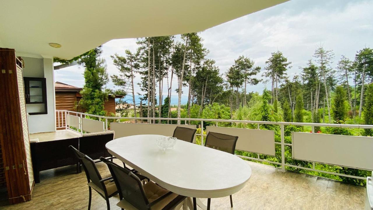 Neli & Zaal Guest House Telavi Exteriér fotografie