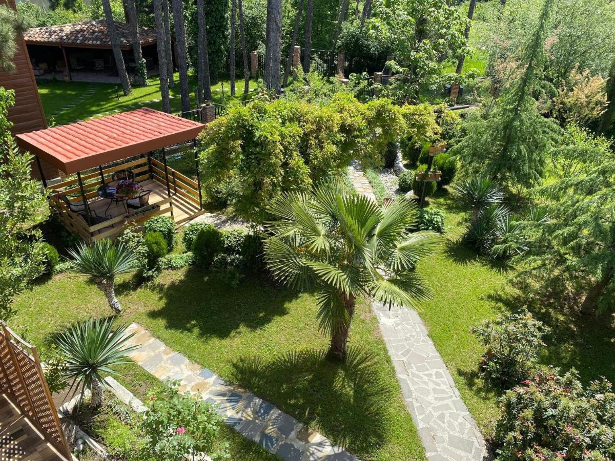 Neli & Zaal Guest House Telavi Exteriér fotografie