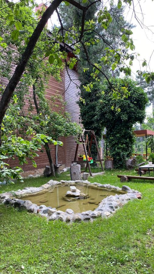 Neli & Zaal Guest House Telavi Exteriér fotografie