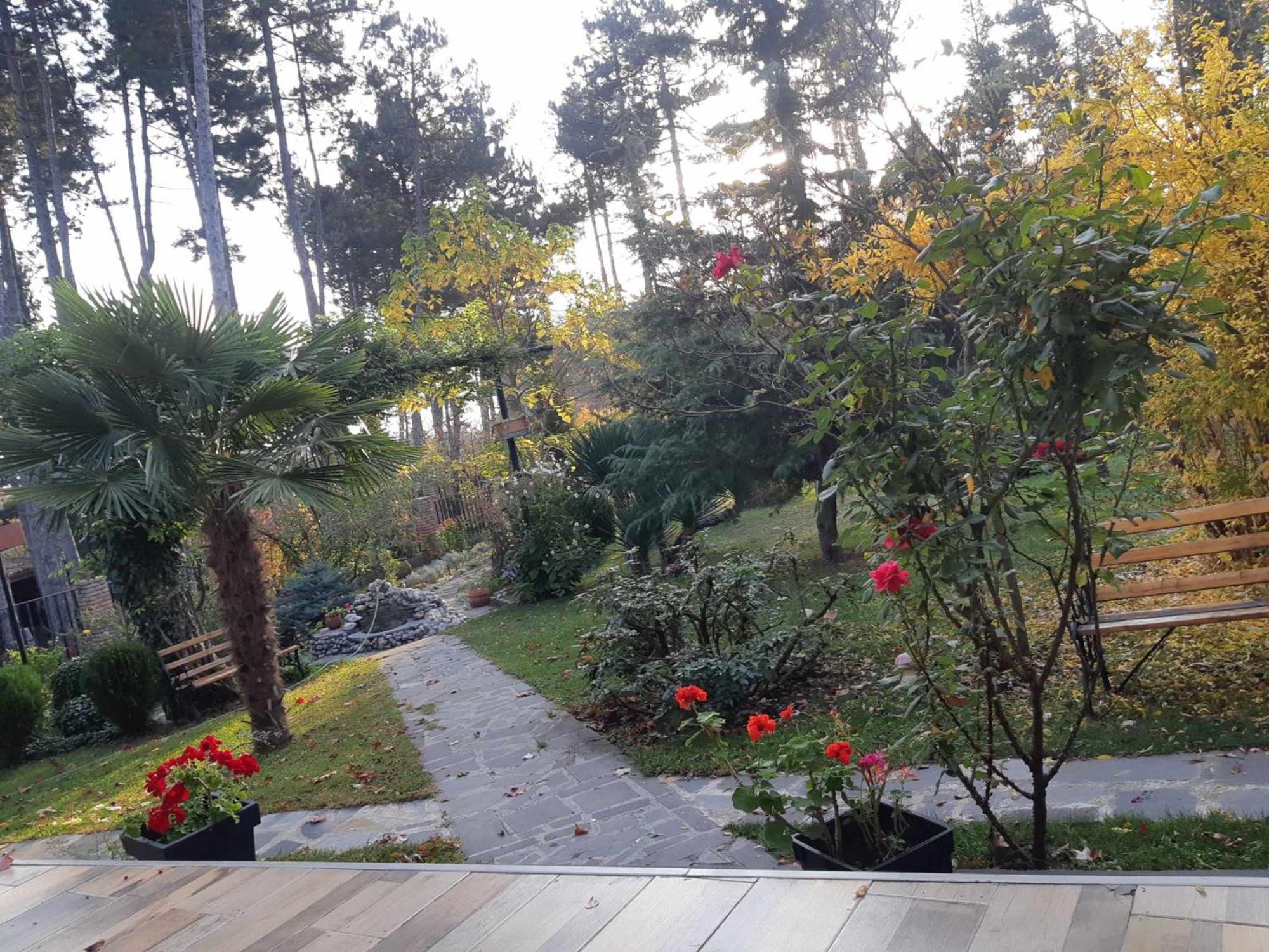 Neli & Zaal Guest House Telavi Exteriér fotografie